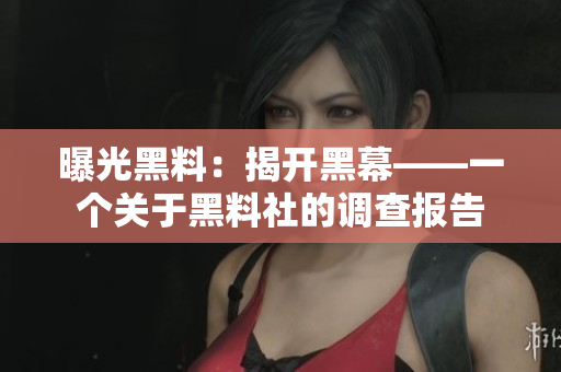 曝光黑料：揭开黑幕——一个关于黑料社的调查报告