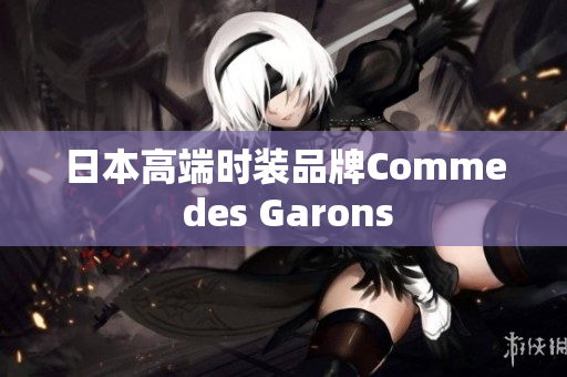 日本高端时装品牌Comme des Garons