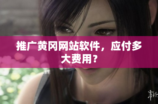 推广黄冈网站软件，应付多大费用？