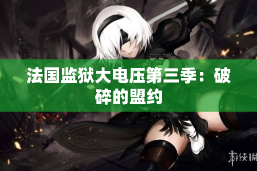法国监狱大电压第三季：破碎的盟约