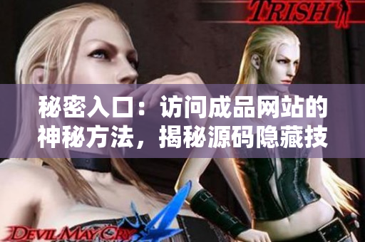 秘密入口：访问成品网站的神秘方法，揭秘源码隐藏技巧