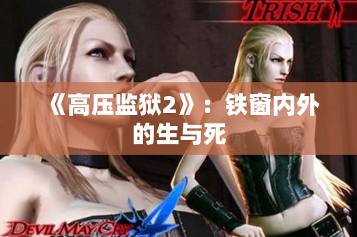 《高压监狱2》：铁窗内外的生与死