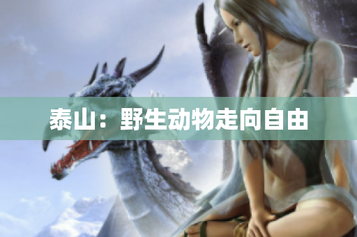 泰山：野生动物走向自由