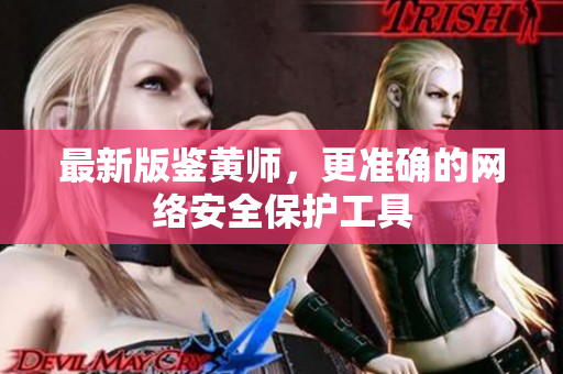 最新版鉴黄师，更准确的网络安全保护工具