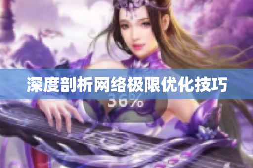 深度剖析网络极限优化技巧