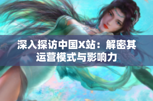 深入探访中国X站：解密其运营模式与影响力