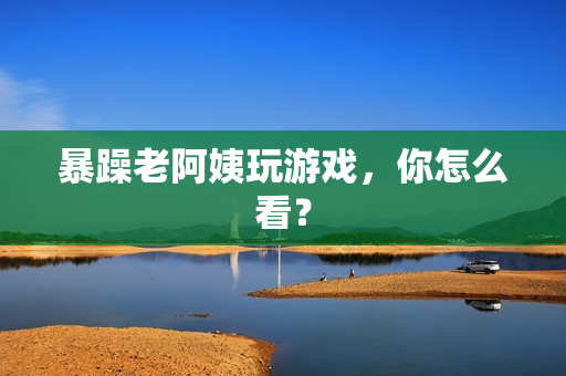 暴躁老阿姨玩游戏，你怎么看？