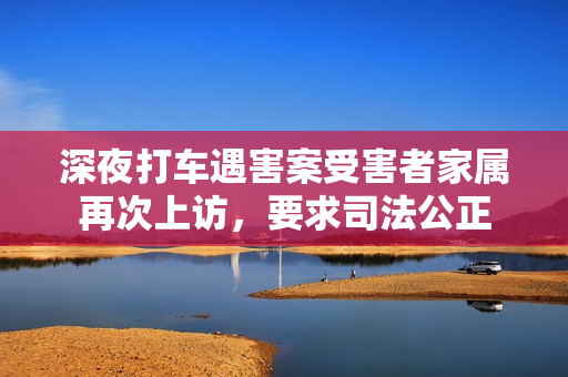 深夜打车遇害案受害者家属再次上访，要求司法公正