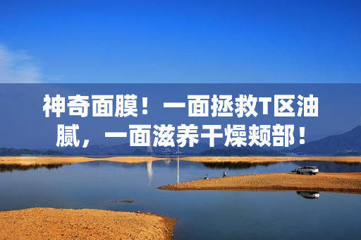 神奇面膜！一面拯救T区油腻，一面滋养干燥颊部！