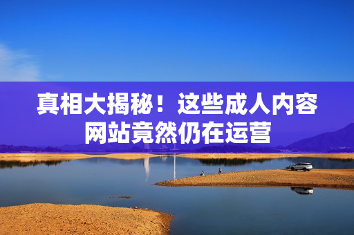 真相大揭秘！这些成人内容网站竟然仍在运营