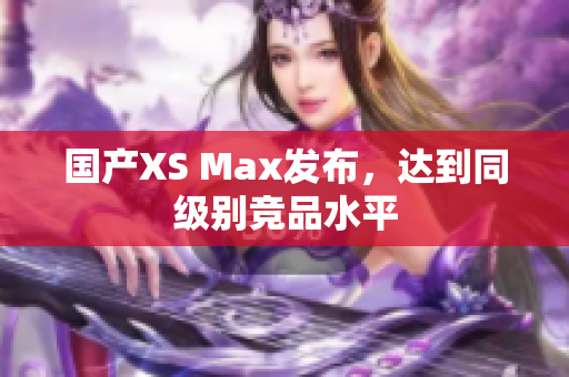 国产XS Max发布，达到同级别竞品水平