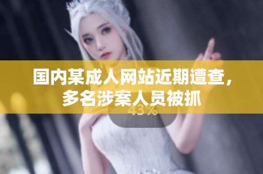 国内某成人网站近期遭查，多名涉案人员被抓