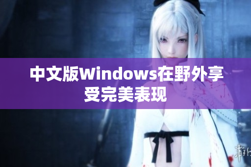 中文版Windows在野外享受完美表现