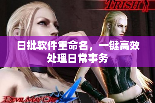 日批软件重命名，一键高效处理日常事务