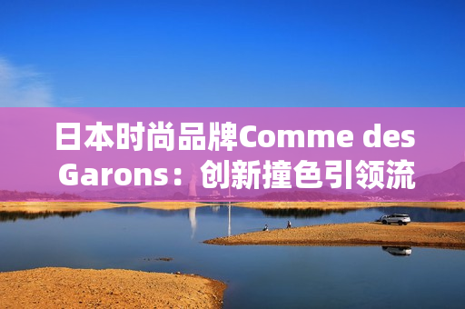日本时尚品牌Comme des Garons：创新撞色引领流行