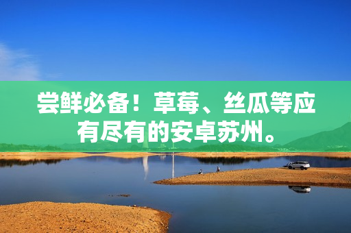 尝鲜必备！草莓、丝瓜等应有尽有的安卓苏州。