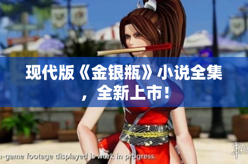 现代版《金银瓶》小说全集，全新上市！
