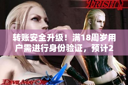 转账安全升级！满18周岁用户需进行身份验证，预计2023启用