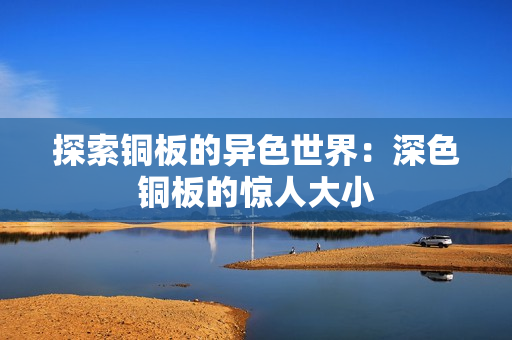 探索铜板的异色世界：深色铜板的惊人大小