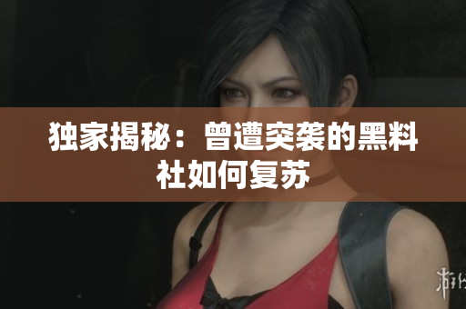 独家揭秘：曾遭突袭的黑料社如何复苏