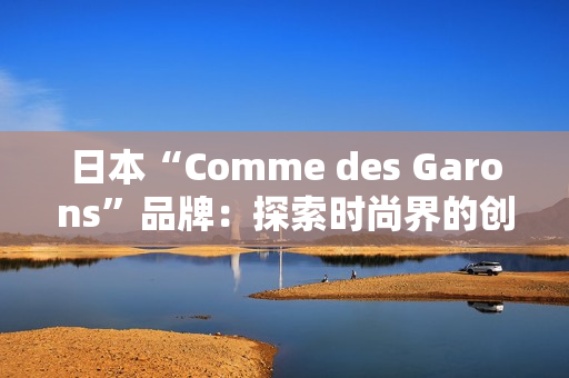 日本“Comme des Garons”品牌：探索时尚界的创意边界