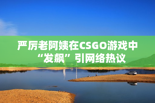 严厉老阿姨在CSGO游戏中“发飙”引网络热议