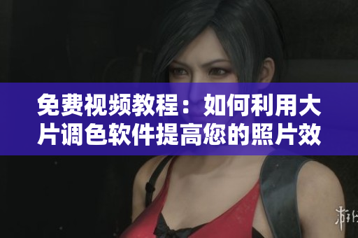 免费视频教程：如何利用大片调色软件提高您的照片效果