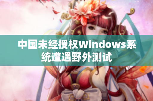 中国未经授权Windows系统遭遇野外测试