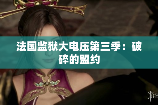 法国监狱大电压第三季：破碎的盟约