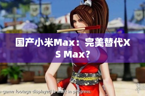 国产小米Max：完美替代XS Max？
