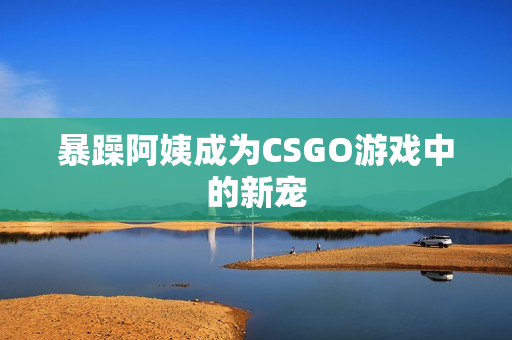 暴躁阿姨成为CSGO游戏中的新宠
