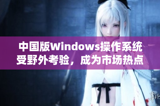 中国版Windows操作系统受野外考验，成为市场热点