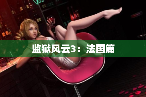 监狱风云3：法国篇