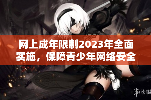 网上成年限制2023年全面实施，保障青少年网络安全