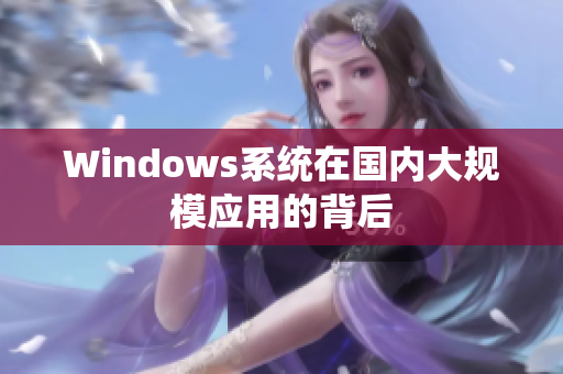 Windows系统在国内大规模应用的背后