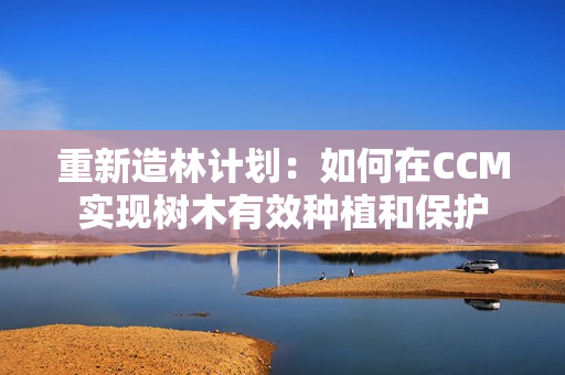 重新造林计划：如何在CCM实现树木有效种植和保护
