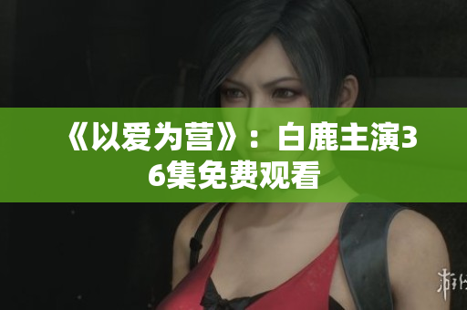 《以爱为营》：白鹿主演36集免费观看