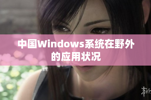中国Windows系统在野外的应用状况