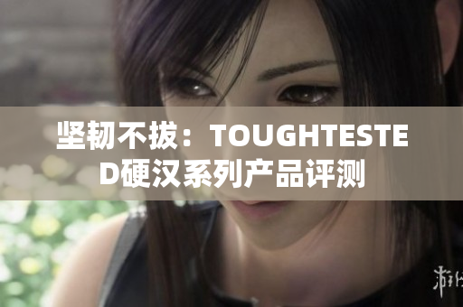 坚韧不拔：TOUGHTESTED硬汉系列产品评测