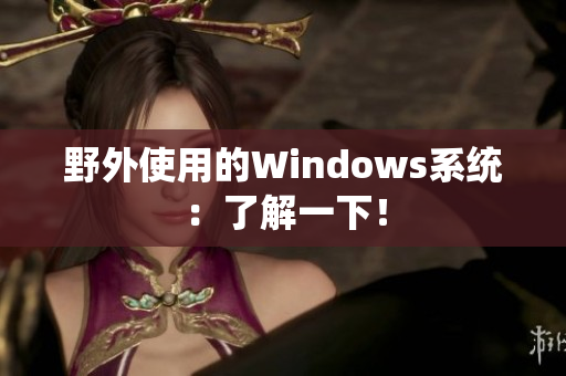 野外使用的Windows系统：了解一下！