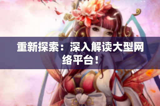 重新探索：深入解读大型网络平台！