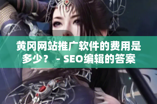 黄冈网站推广软件的费用是多少？ - SEO编辑的答案