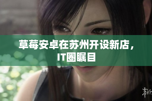 草莓安卓在苏州开设新店，IT圈瞩目