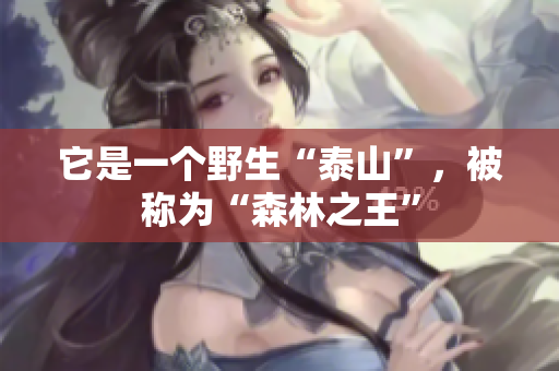它是一个野生“泰山”，被称为“森林之王”