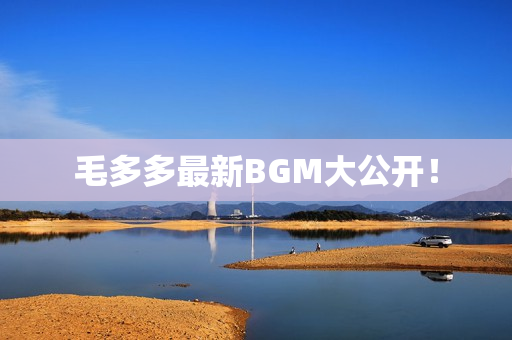毛多多最新BGM大公开！