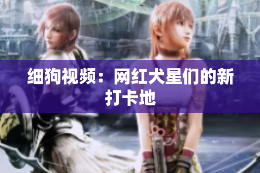 细狗视频：网红犬星们的新打卡地