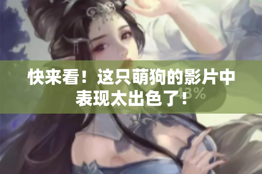 快来看！这只萌狗的影片中表现太出色了！