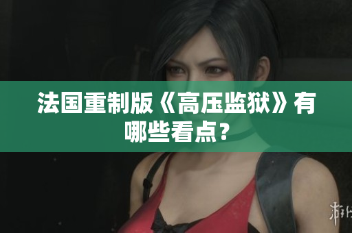 法国重制版《高压监狱》有哪些看点？