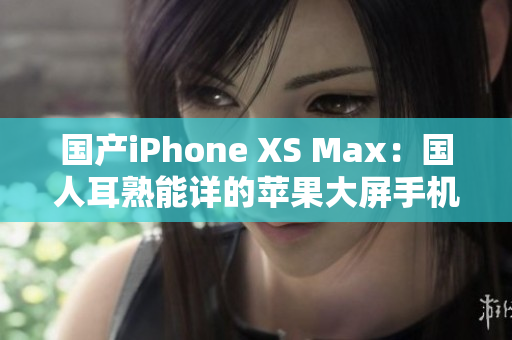 国产iPhone XS Max：国人耳熟能详的苹果大屏手机