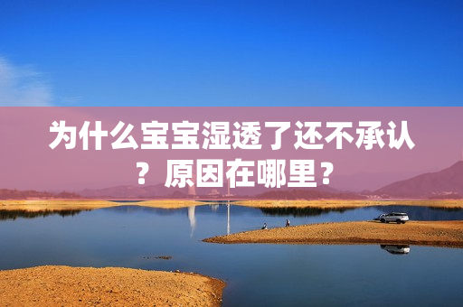 为什么宝宝湿透了还不承认？原因在哪里？